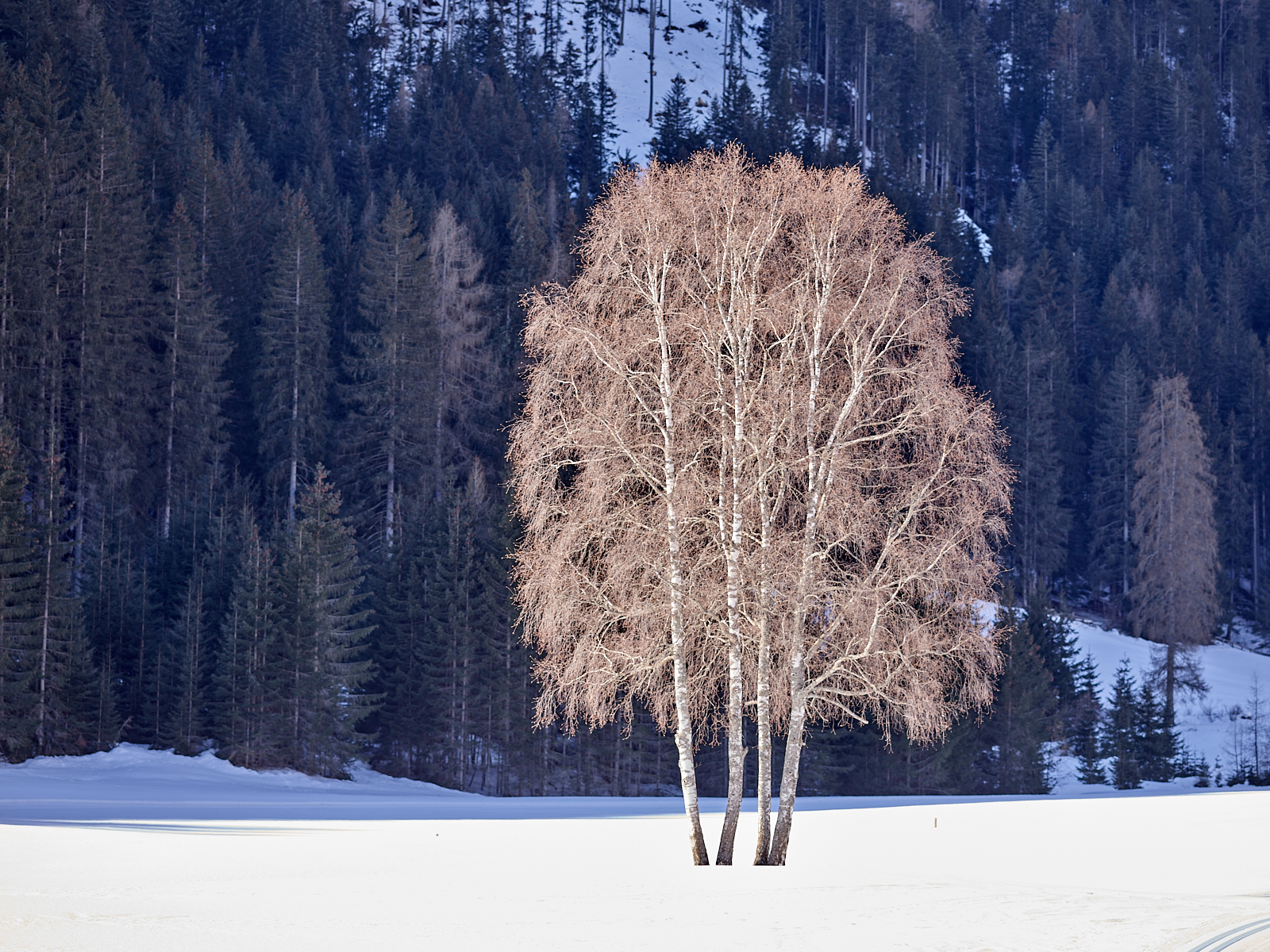On my way to Lago di Braies